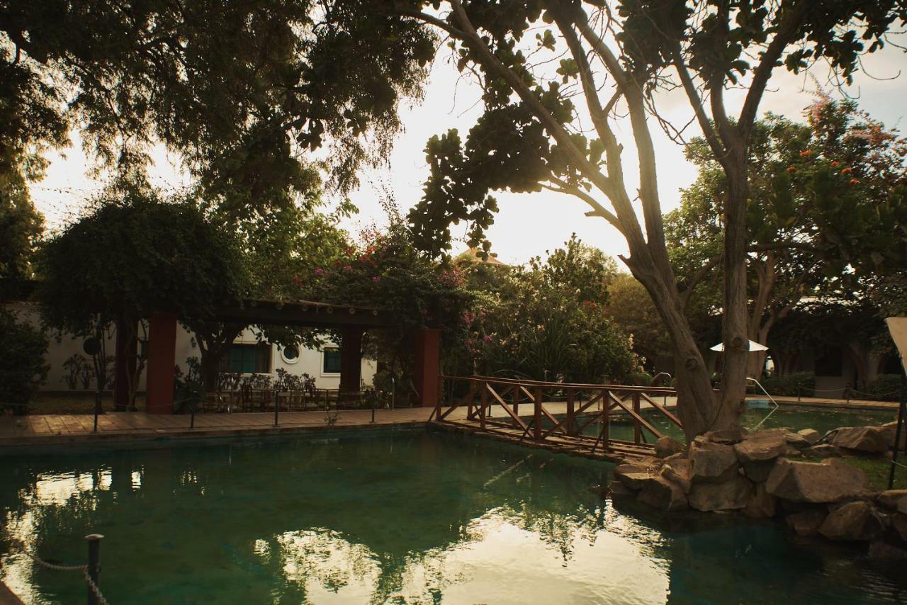 Hotel Majoro Nazca Bagian luar foto