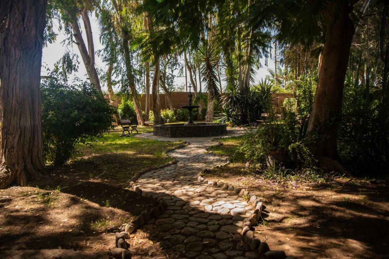 Hotel Majoro Nazca Bagian luar foto