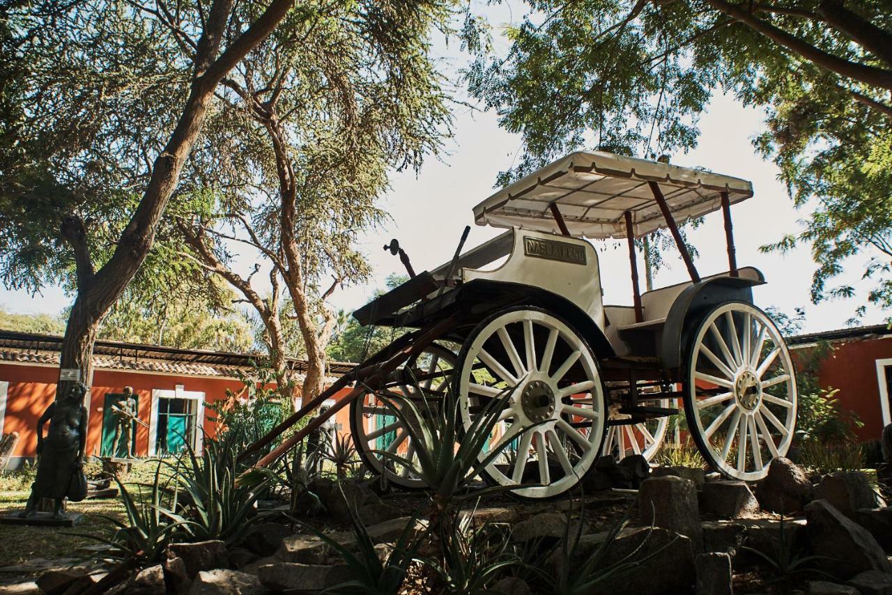 Hotel Majoro Nazca Bagian luar foto