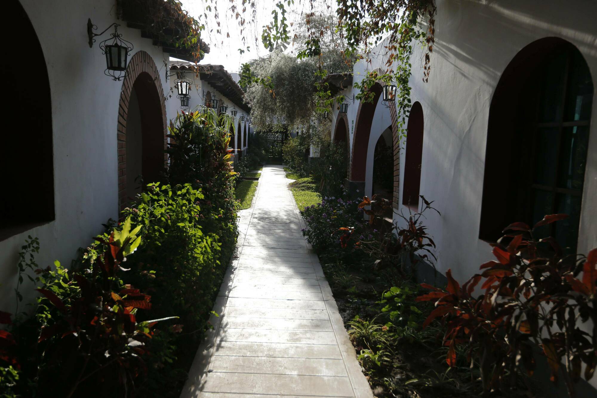 Hotel Majoro Nazca Bagian luar foto
